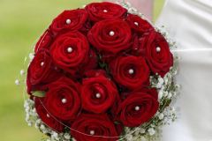 00A76D92-1A70-4693-932F-C55A1F504350